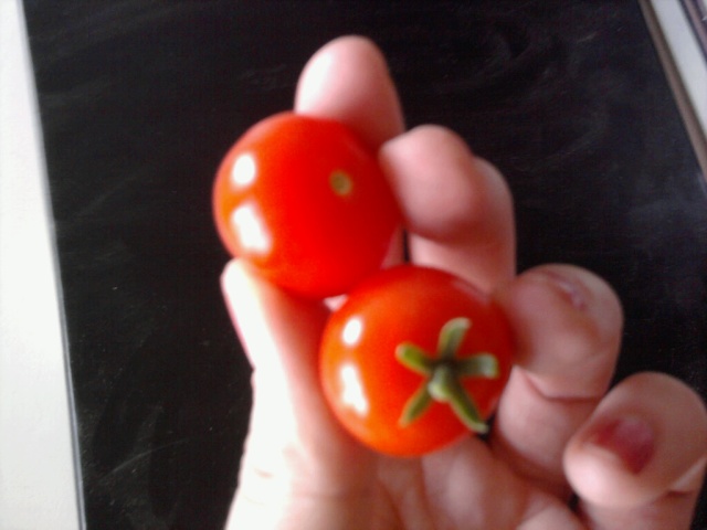 red_cherry_tomatoes